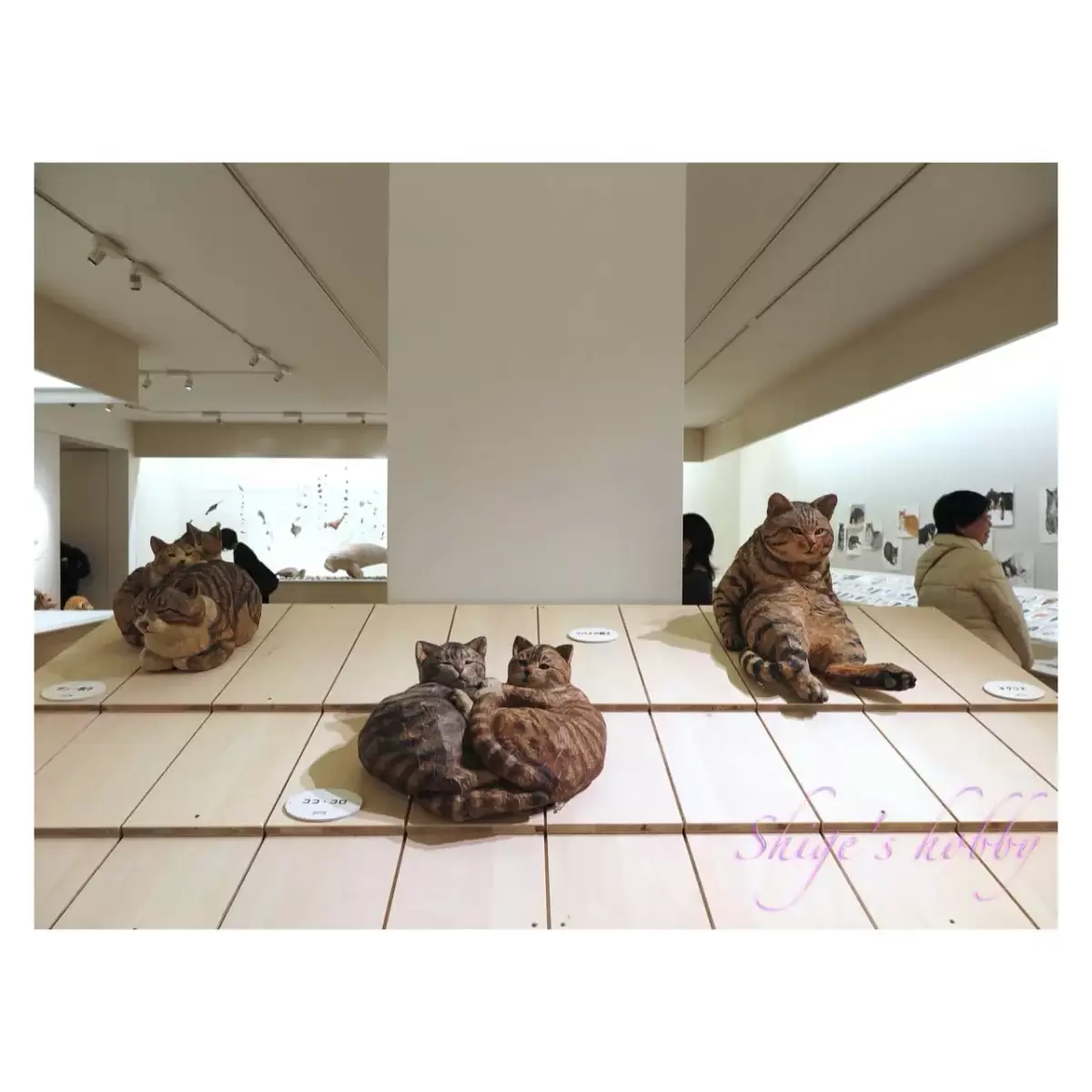 はしもとみお展・Mio Hashimoto Exhibition