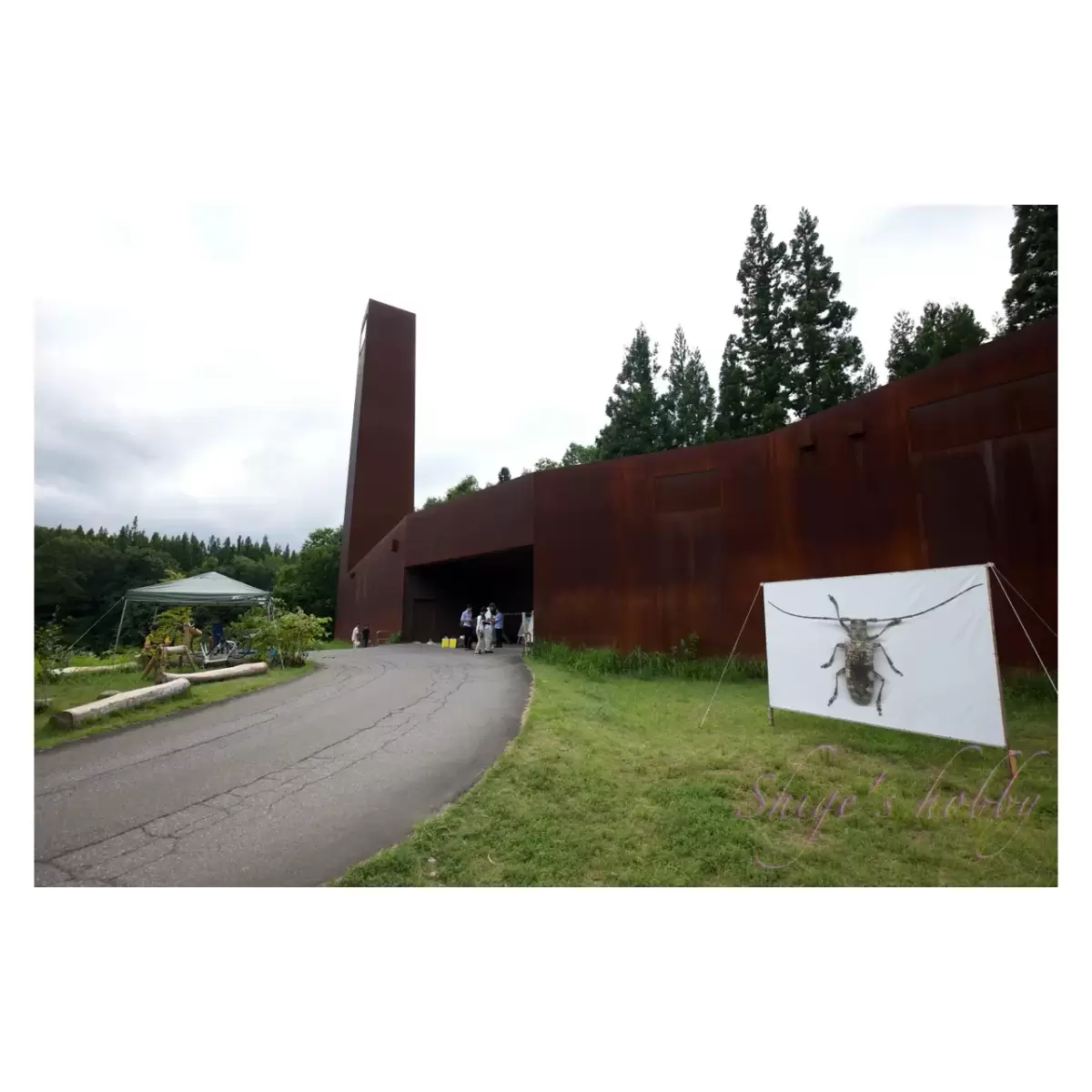 十日町市立里山科学館 越後松之山「森の学校」キョロロ